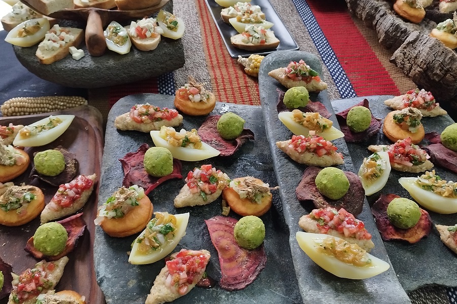 En el Aula Magna de la Universidad de La Frontera de Temuco, se realizó el lanzamiento del proyecto “Fortalecimiento de la competitividad del turismo gastronómico mapuche y su cadena de valor”.
