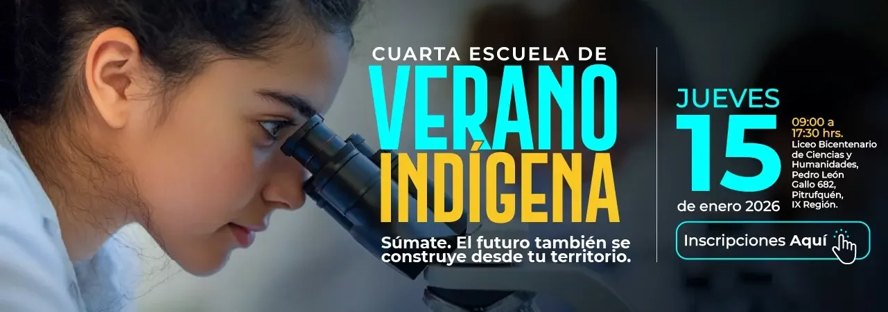 escuela-verano-indigena