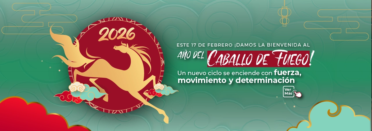 slider-anio-nuevo chino Image