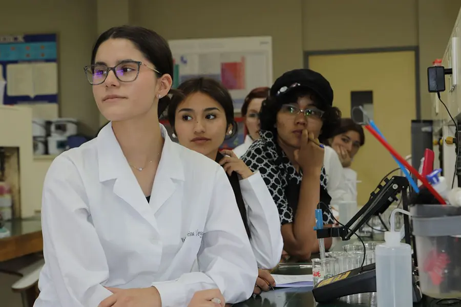 Talleres estivales de química