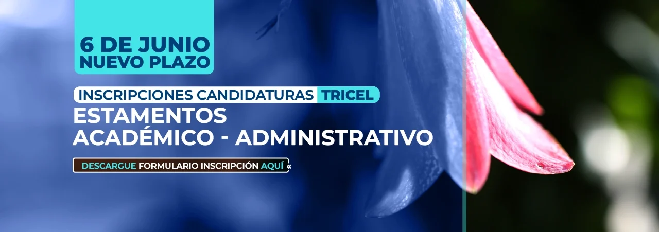 nuevo plazo
