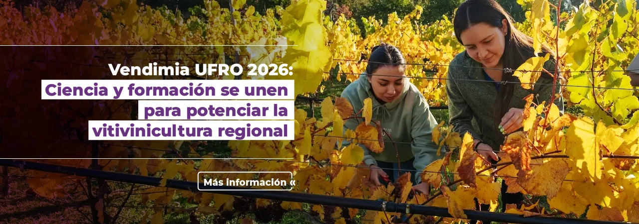Vendimia UFRO 2026