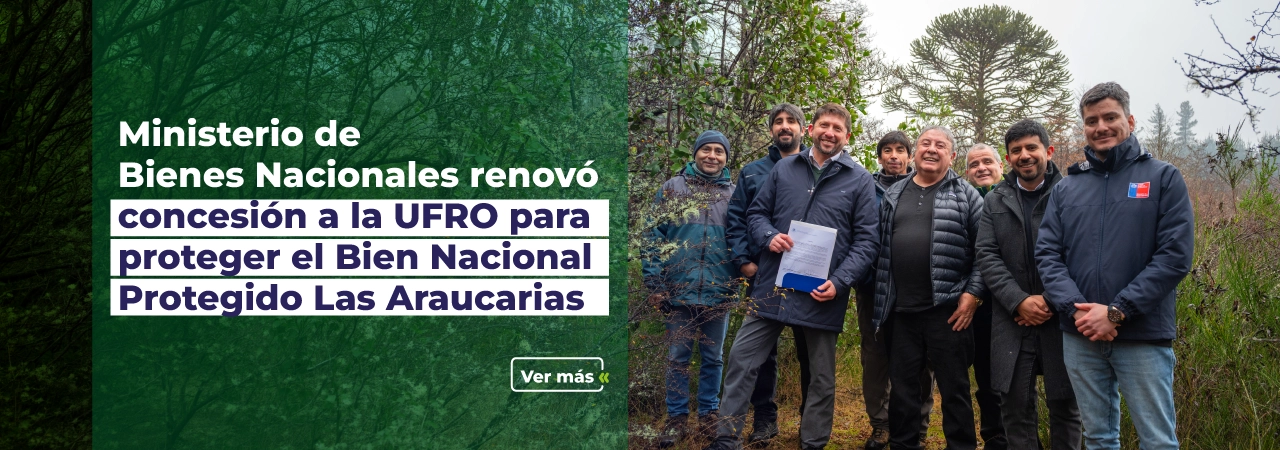 Bien Protegido Las Araucarias