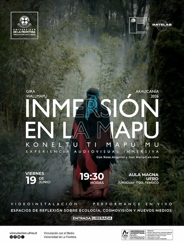 Inmersión en la mapu
