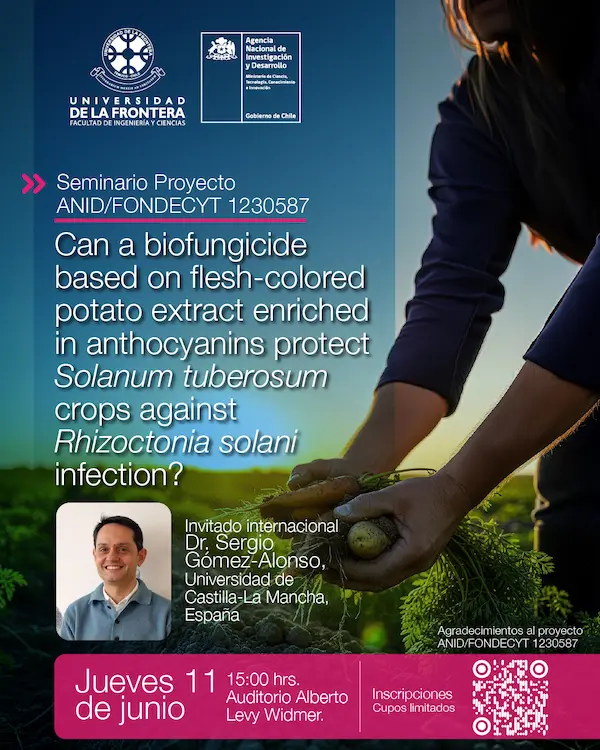 seminario-proyecto-fondecy