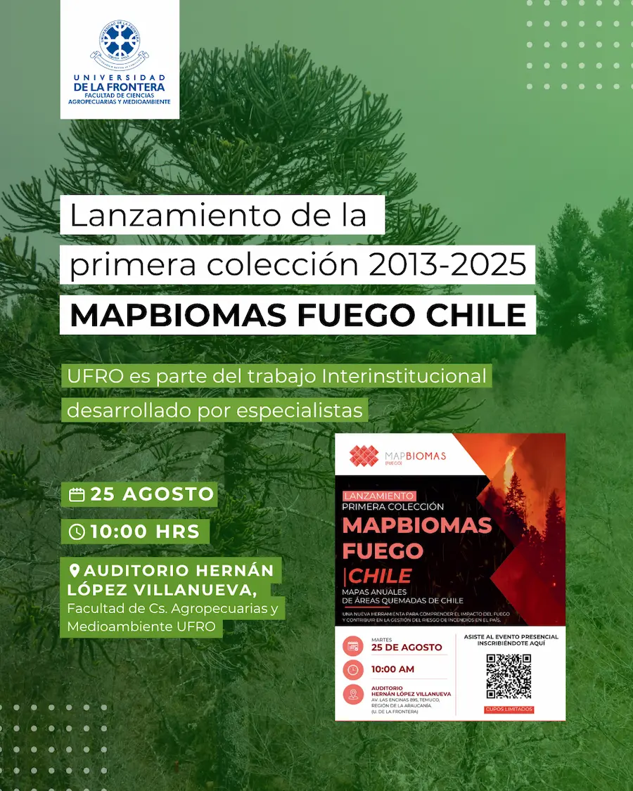 MapBiomas