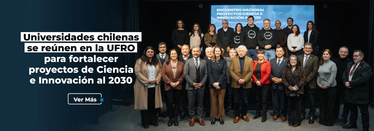 Proyectos Ciencia e Innovación al 2030