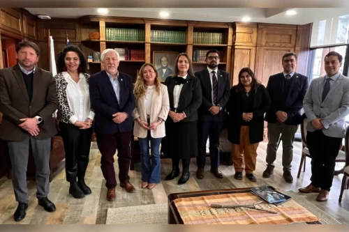Elizabeth Carihuentro, alumni y vicepresidenta de CorpAraucanía, asume en la Junta Directiva UFRO