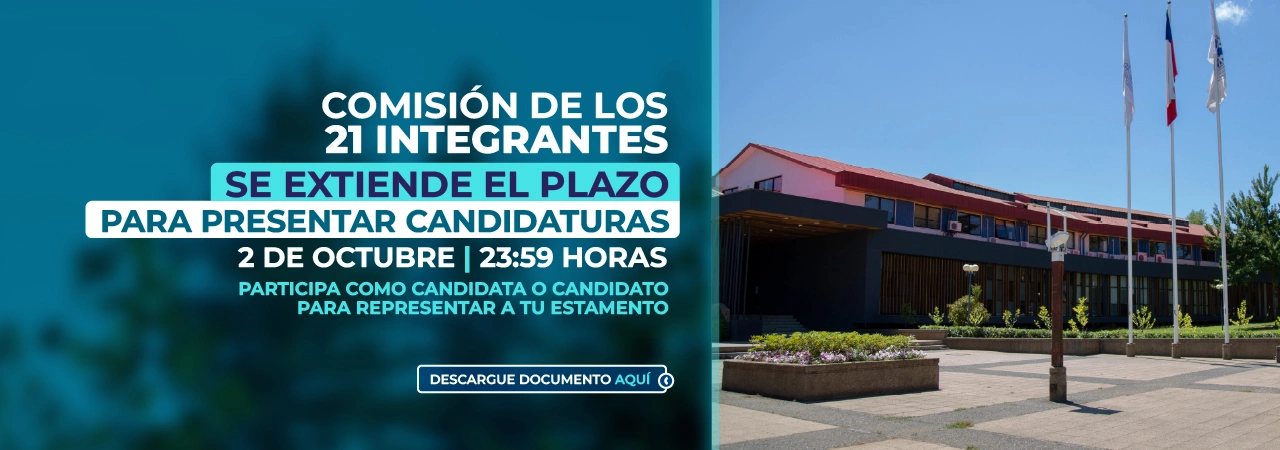 Comisión 21 integrantes