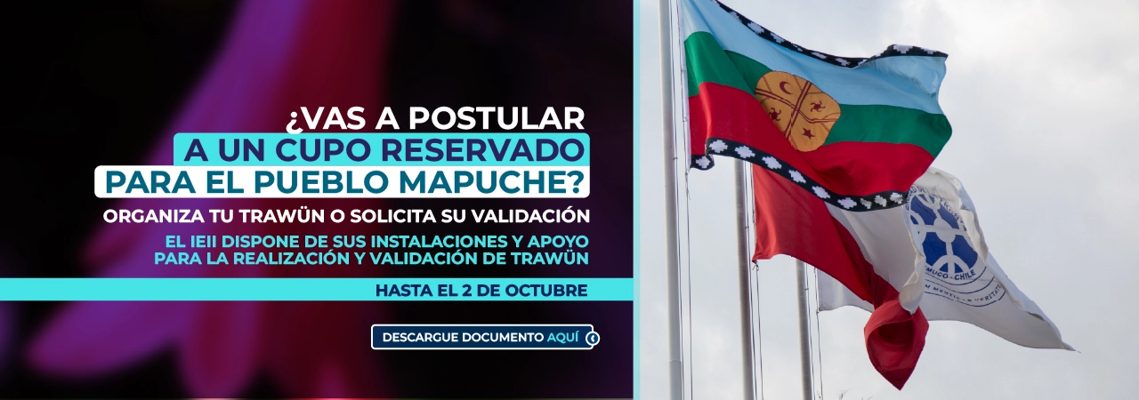 Cupo reservado pueblo mapuche