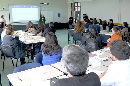 Jornada de Trabajo Perfil Docente UFRO