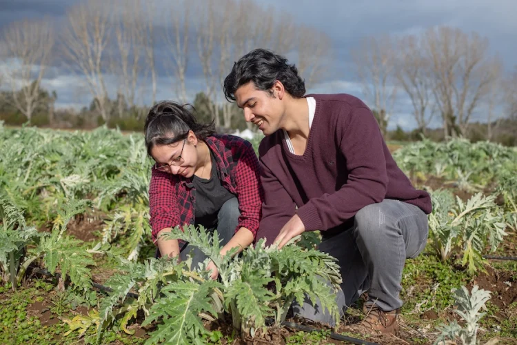 Agroambiente en qué estamos