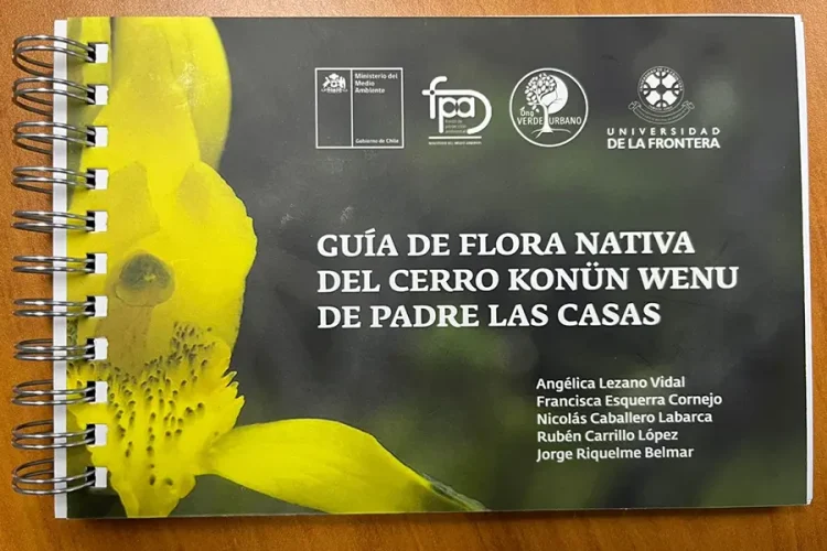 Guia de Flora-nativa