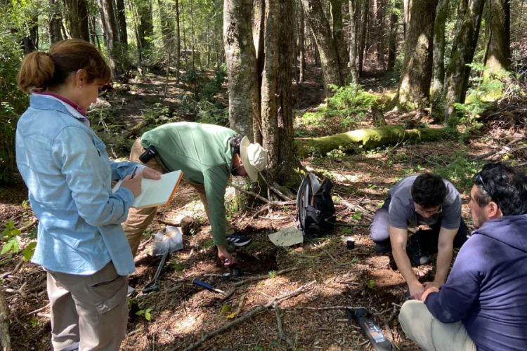 Investigación volcán Villarrica