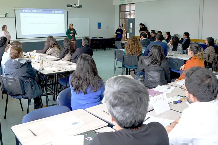 Jornada de Trabajo Perfil Docente UFRO