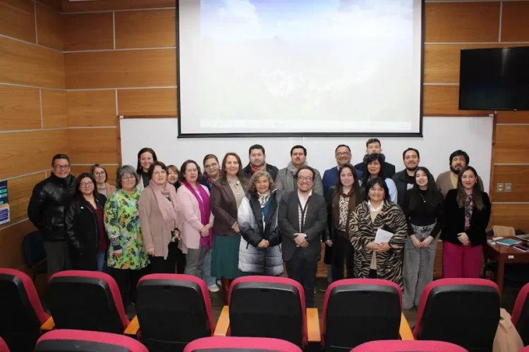 Rediseños pedagogía FECSH UFRO