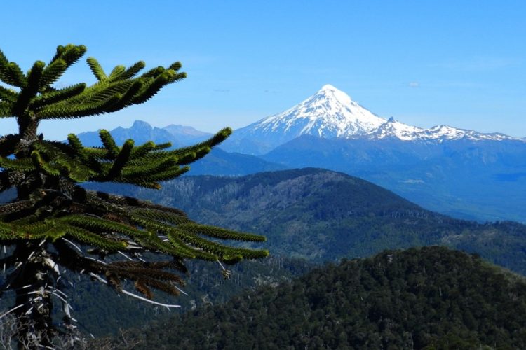 Seminario Biodiversidad