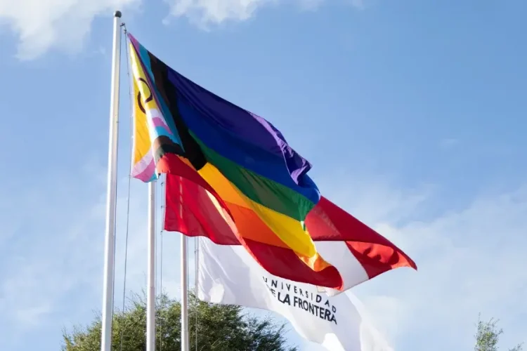 bandera mes del orgullo y la diversidad sexo generica