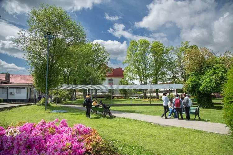 campus ufro estudiantes