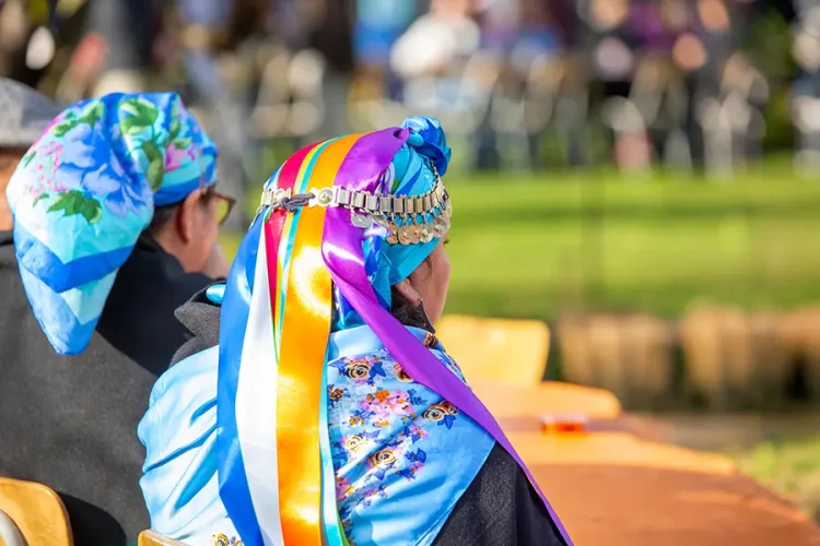 Día mujer indígena