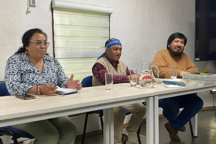 diccionario mapuche