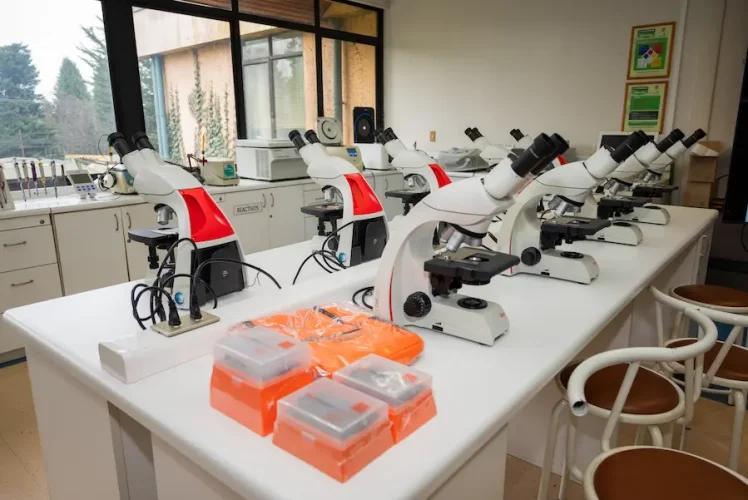 Entrega equipamiento