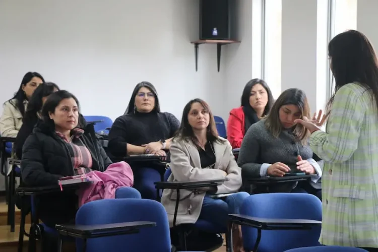 Escuelas Temuco