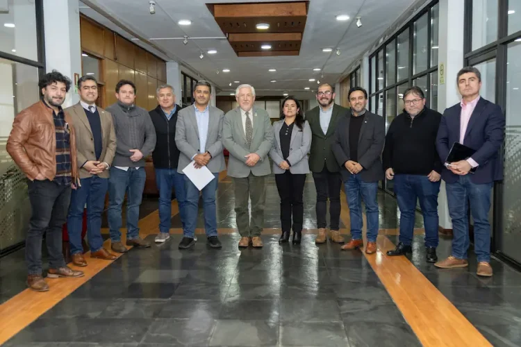 municipios verdes