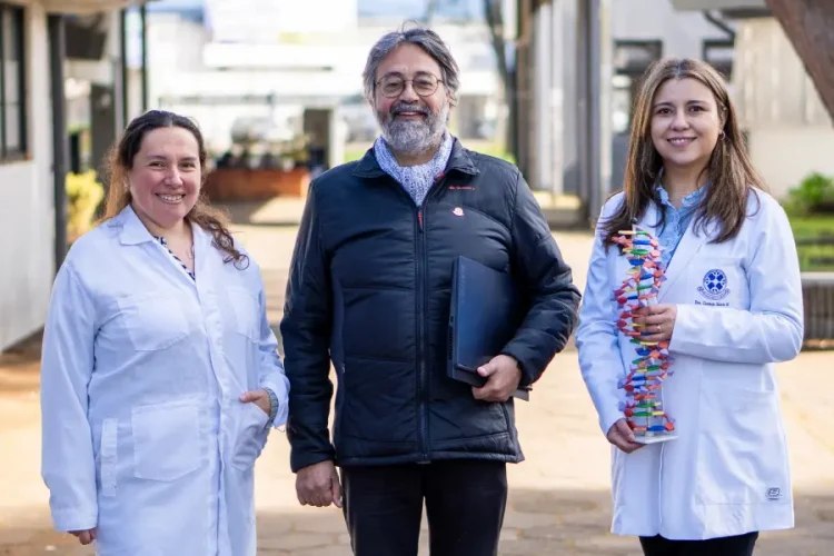 Investigadores y académicos de la Universidad de La Frontera trabajando en proyectos de investigación interdisciplinaria.