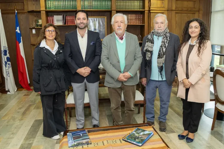 Reunión Seremi Cultura